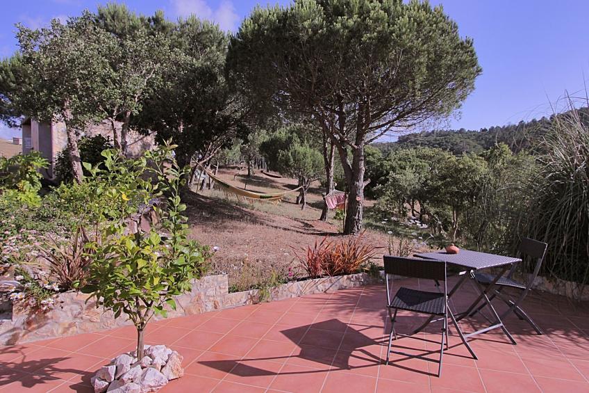 "The Natural Elements" - foto 27