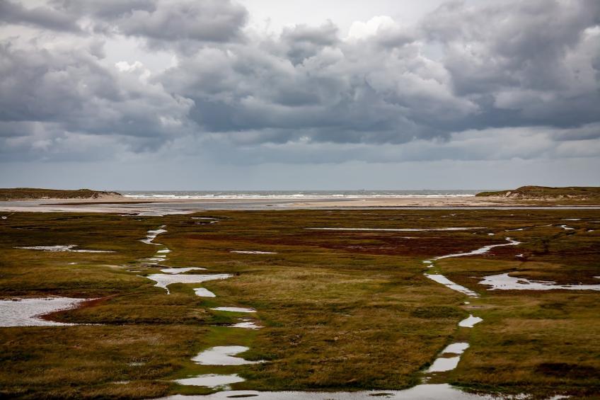 Vakantiepark 't Eibernest Texel 1 - foto 34