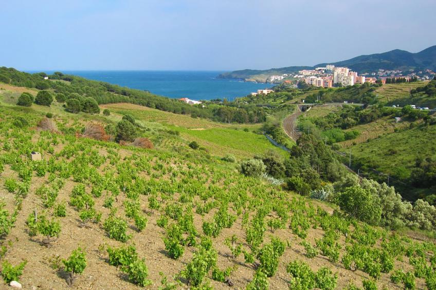Kleines Studio mit tollem Blick auf das Meer - foto 68