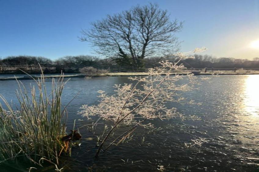 South Downs Lodge - foto 18