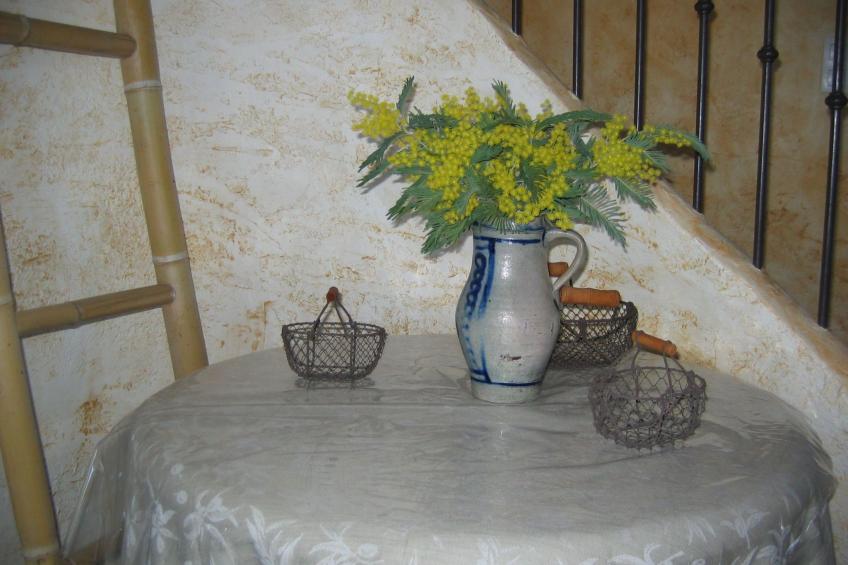 pin parasol - foto 21