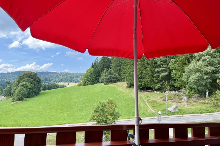 Kurhotel Schluchsee - foto 20