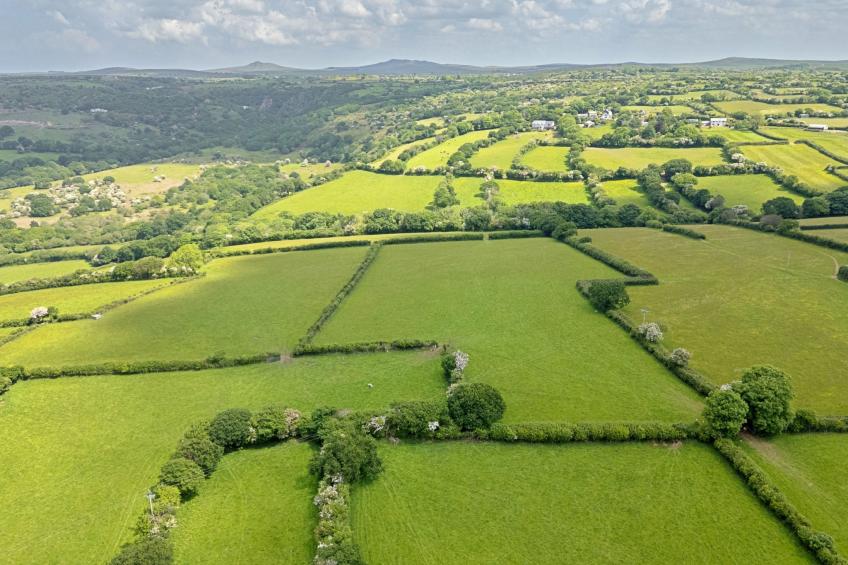 Rowella Cottage - foto 21