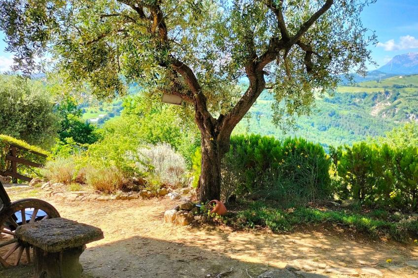 Große Wohnung mit Blick von den Bergen bis zum Meer - foto 23