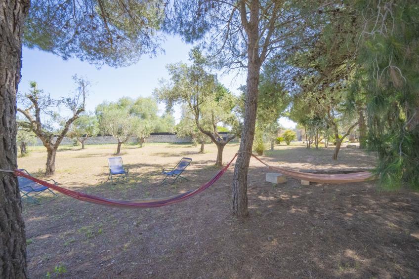 Masseria Le Palmentelle Pool And Garden - foto 35