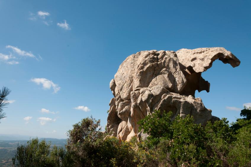 La Suara Manna - foto 34