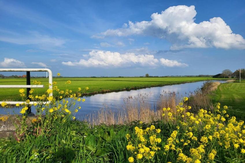 Appartement aan het meer in Heeg - foto 31