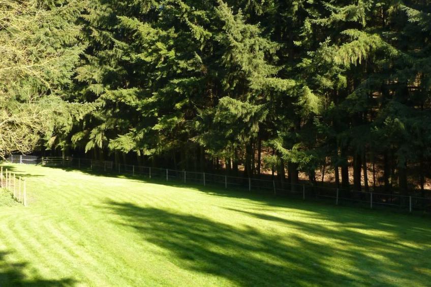 Holz-Blockhaus für vier Personen mit Terrasse - foto 15