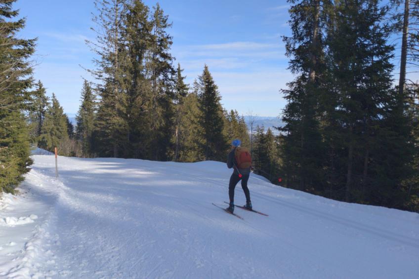 FeWo Südhang - foto 15