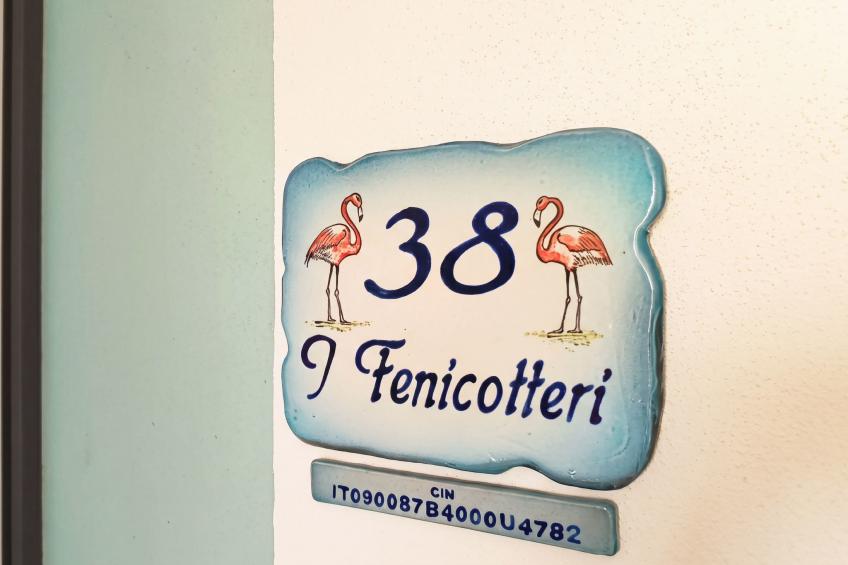 I Fenicotteri - foto 17