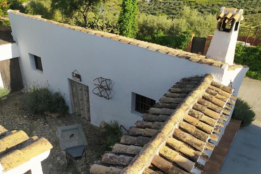 El Molino - foto 8