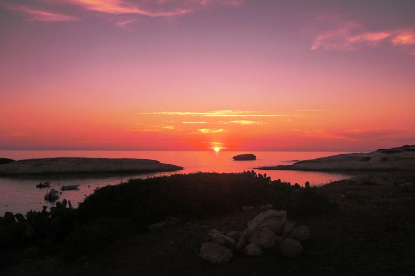 Wohnung S'archittu - foto 12