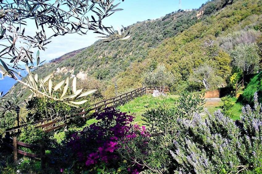 Granatapfel-Wohnung - foto 24