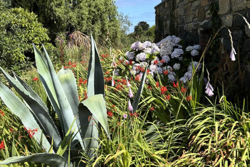 Maison à Plougrescant - foto 64