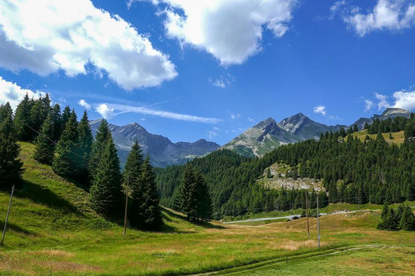 Nido delle Alpi - foto 26