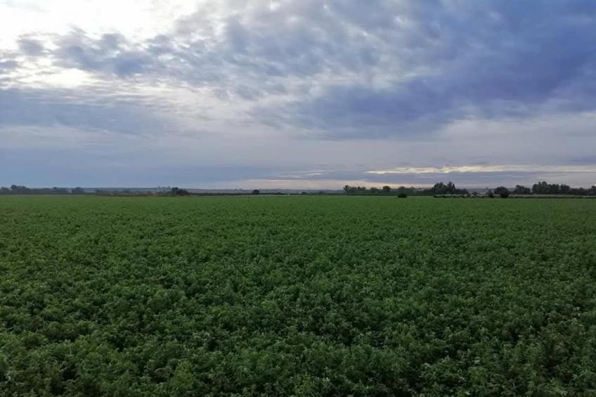 El rincón de Rivero - foto 17