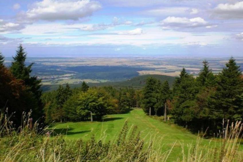 Schwarzhausen - foto 31