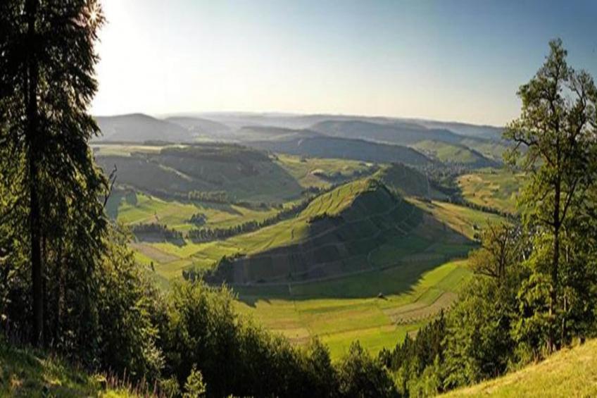 Apartment DanMa in Laubach - foto 19