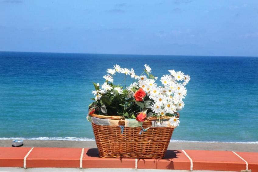 Charmante Wohnung in Marchesana mit Terrasse - foto 4