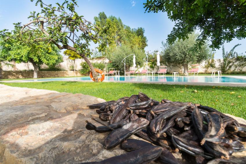 Appartement in Donnalucata mit Großem Garten - foto 43