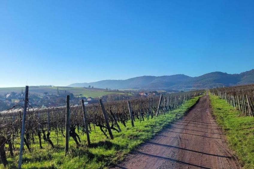 Maison de vacances - SCHLEITHAL - foto 31