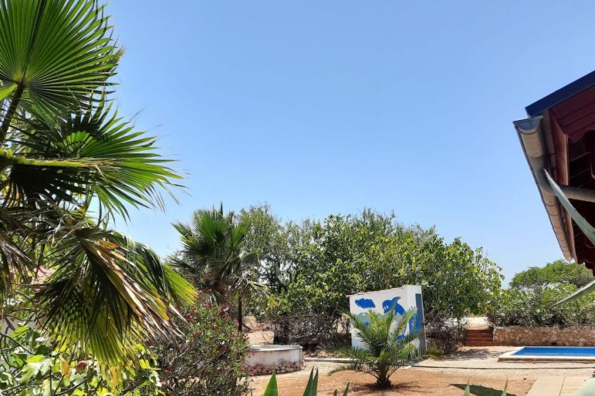 Casa Amendoas - foto 13