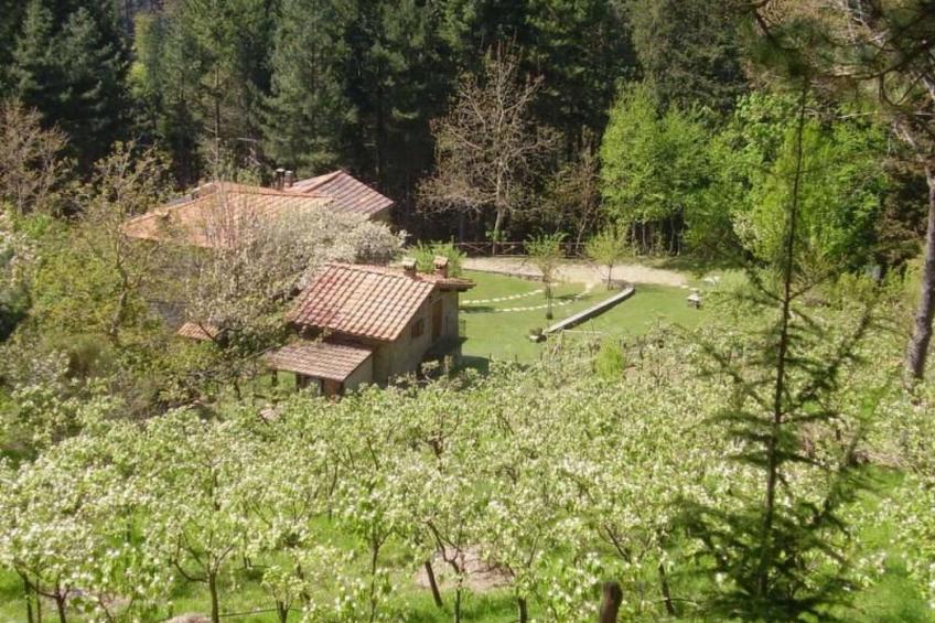 Maisonette-Ferienwohnung mit Garten - foto 19