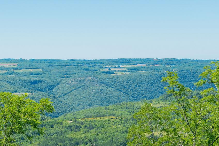 Margherita - foto 32