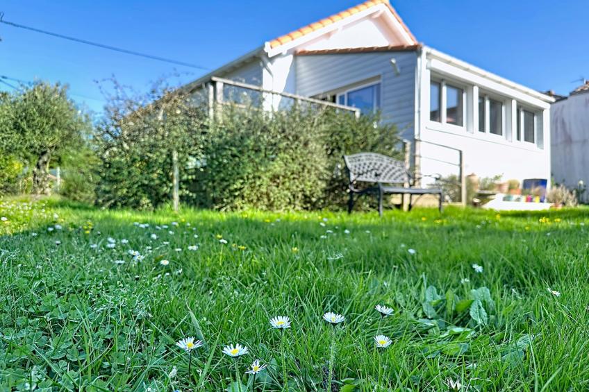 Les Rainettes - foto 24