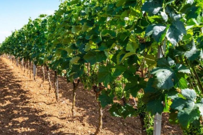 Apartment Tonka 3+2 - foto 3