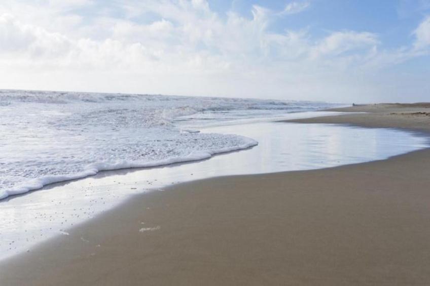 CAP CAMARGUE F N°123 - 3P7 - foto 16