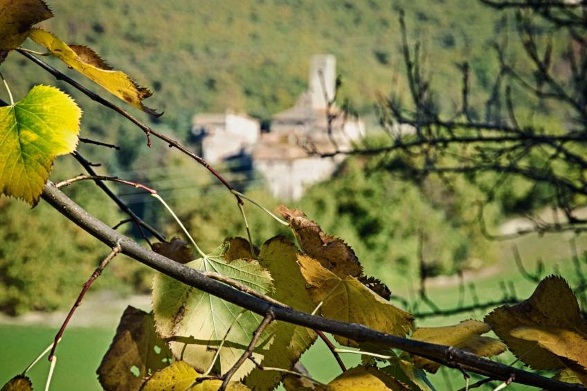 Das Walnusshaus - foto 30