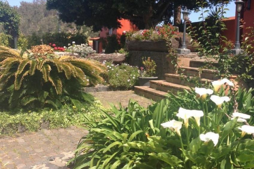 Finca Los Vinedos - foto 28