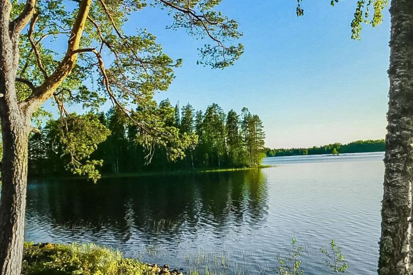 Kaskenhovi - foto 18