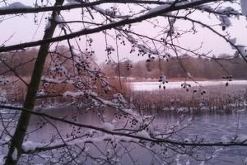 Reiterstübchen - foto 10