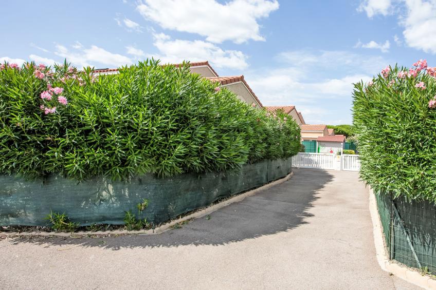 Le Mas de Torreilles - foto 23