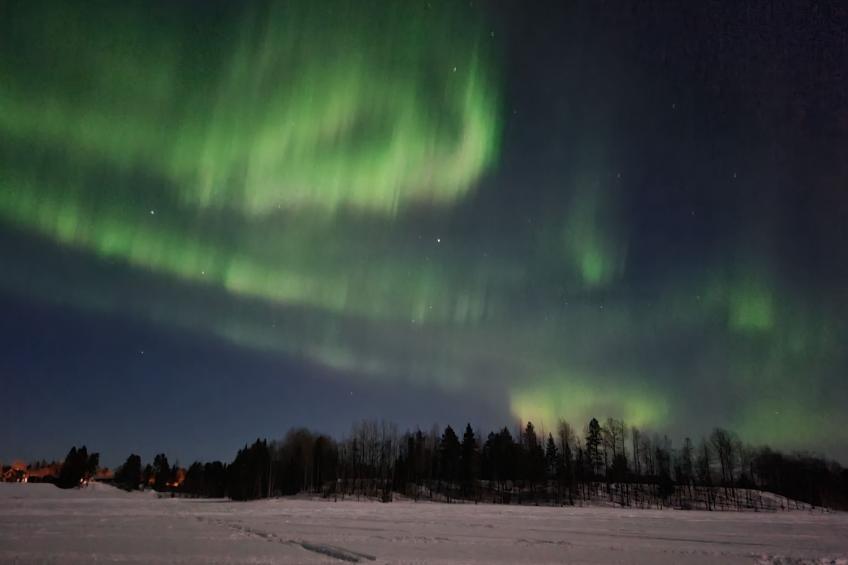 Haus-Lappland - foto 42