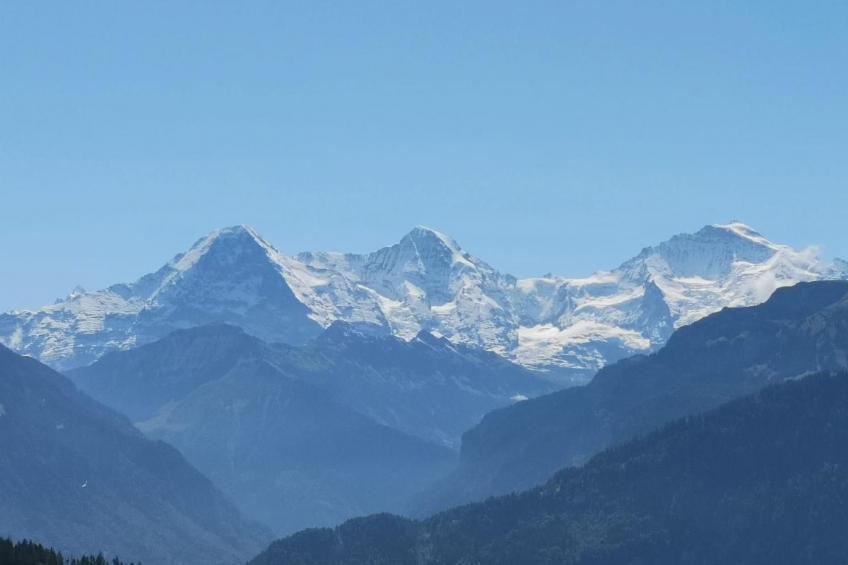 Chalet Lilo Studio - foto 23