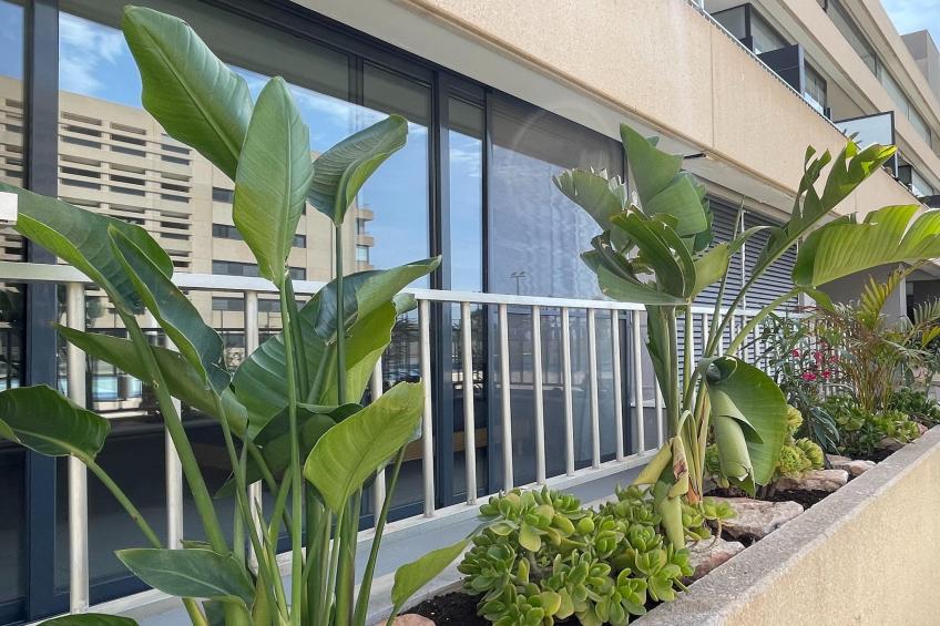 Mirador Playa Serena - foto 19