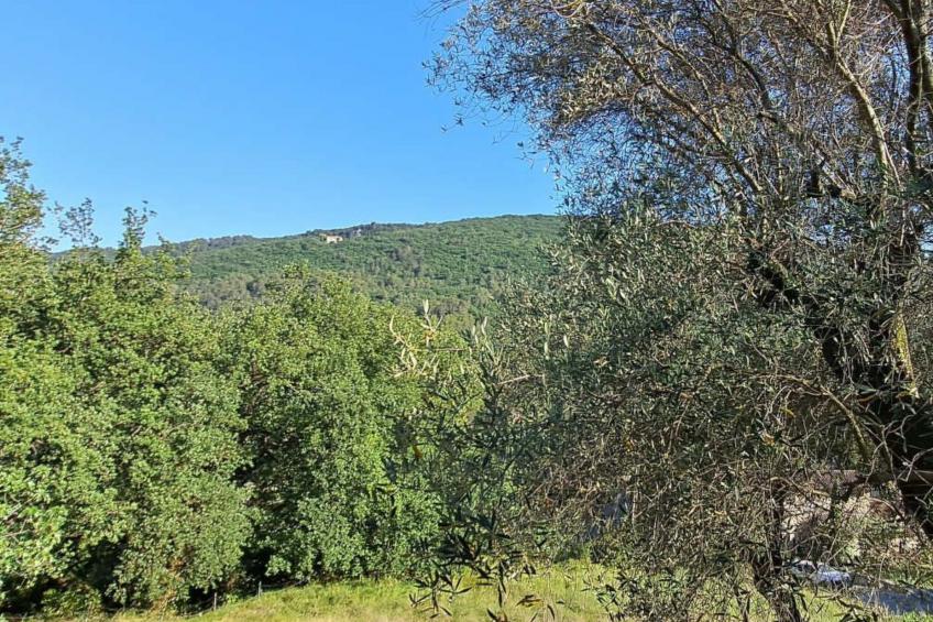 "Maison du Paysan" (Bauernhaus) - foto 17