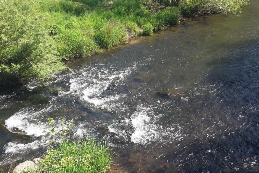 in Zendscheid mit Offenem Kamin - foto 39