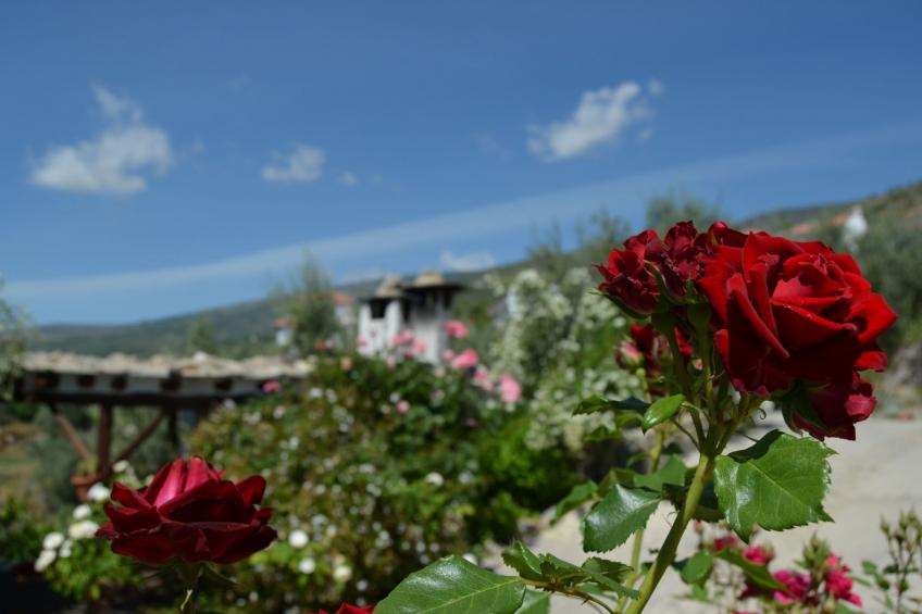 Gemütliches Haus mit toller Aussicht - foto 34