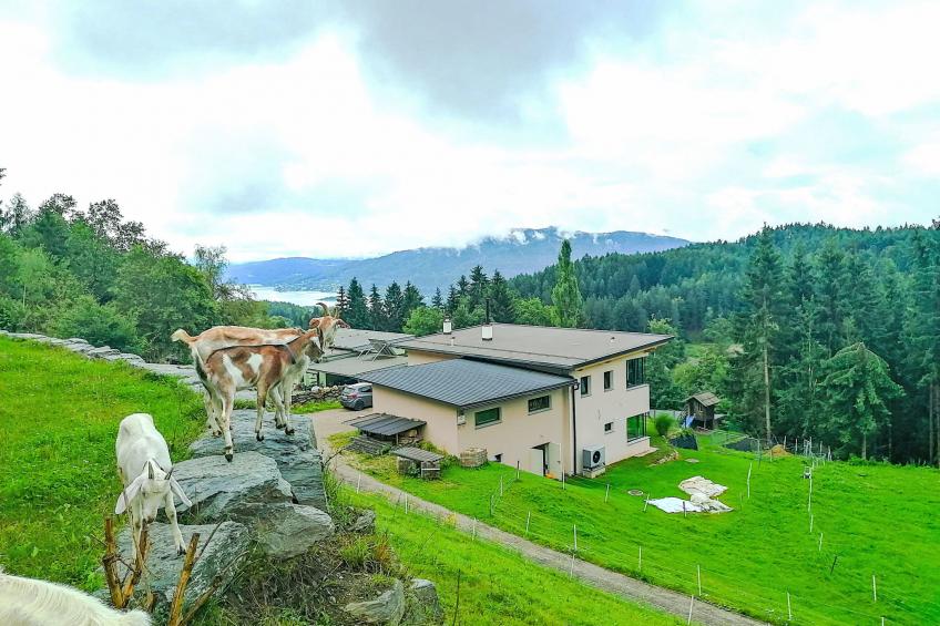 Villa Techelsberg - foto 5
