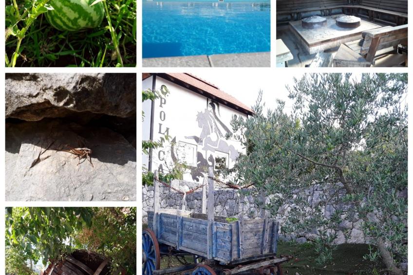 Anwesen "Poljicko imanje" mit eigenem Pool - foto 37