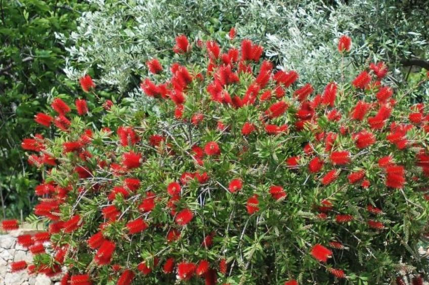 Rustikales Haus in Lukoran mit privatem Parkplatz - foto 45