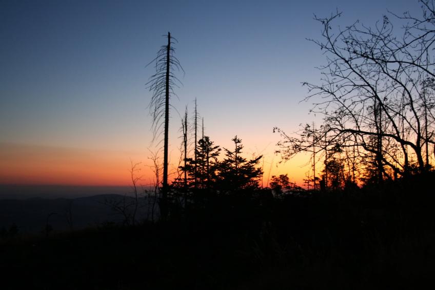 Im Bayerischen Wald - foto 30