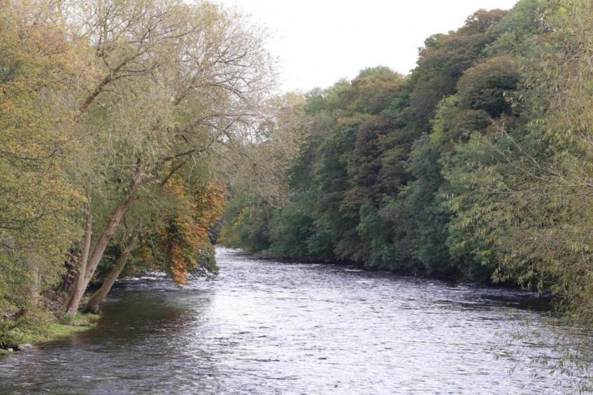 Owl Cottage - foto 17