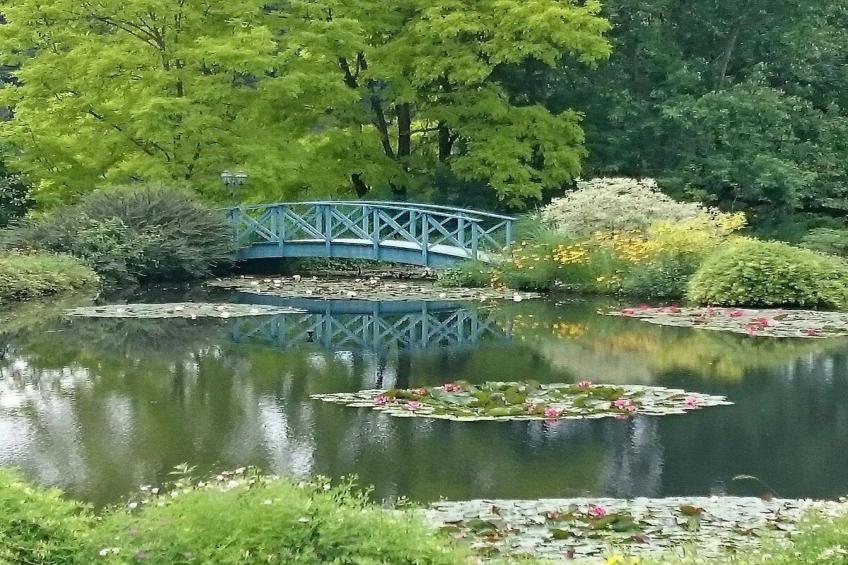 Sur la Cave - foto 27