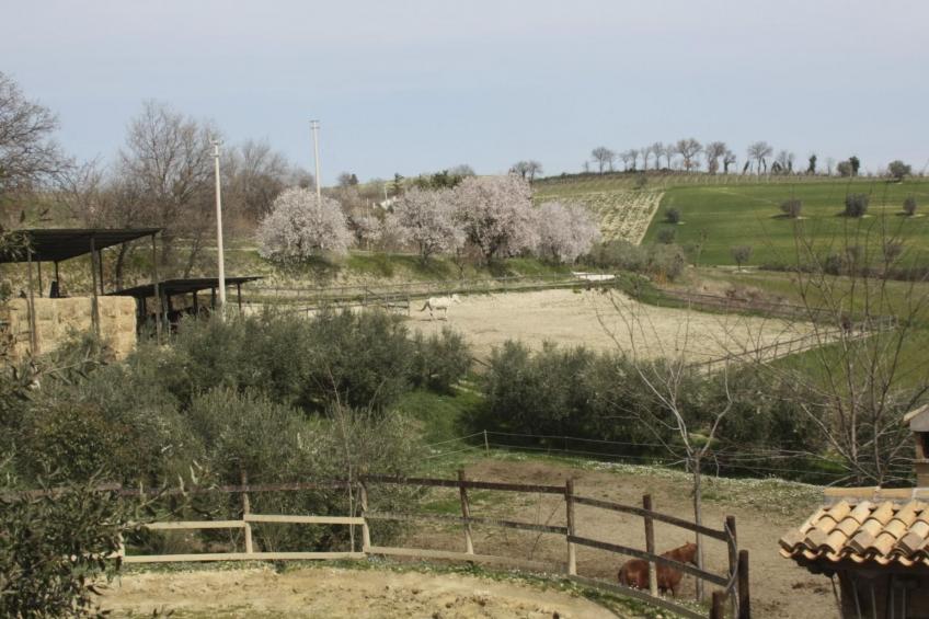 in der Gegend zwischen Meer und Berghang - foto 38