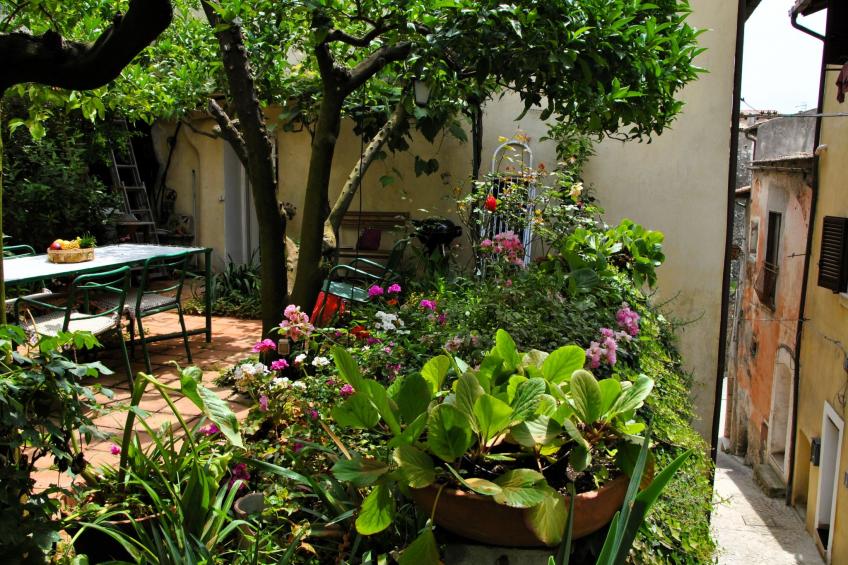 Giardino dei Limoni - foto 16